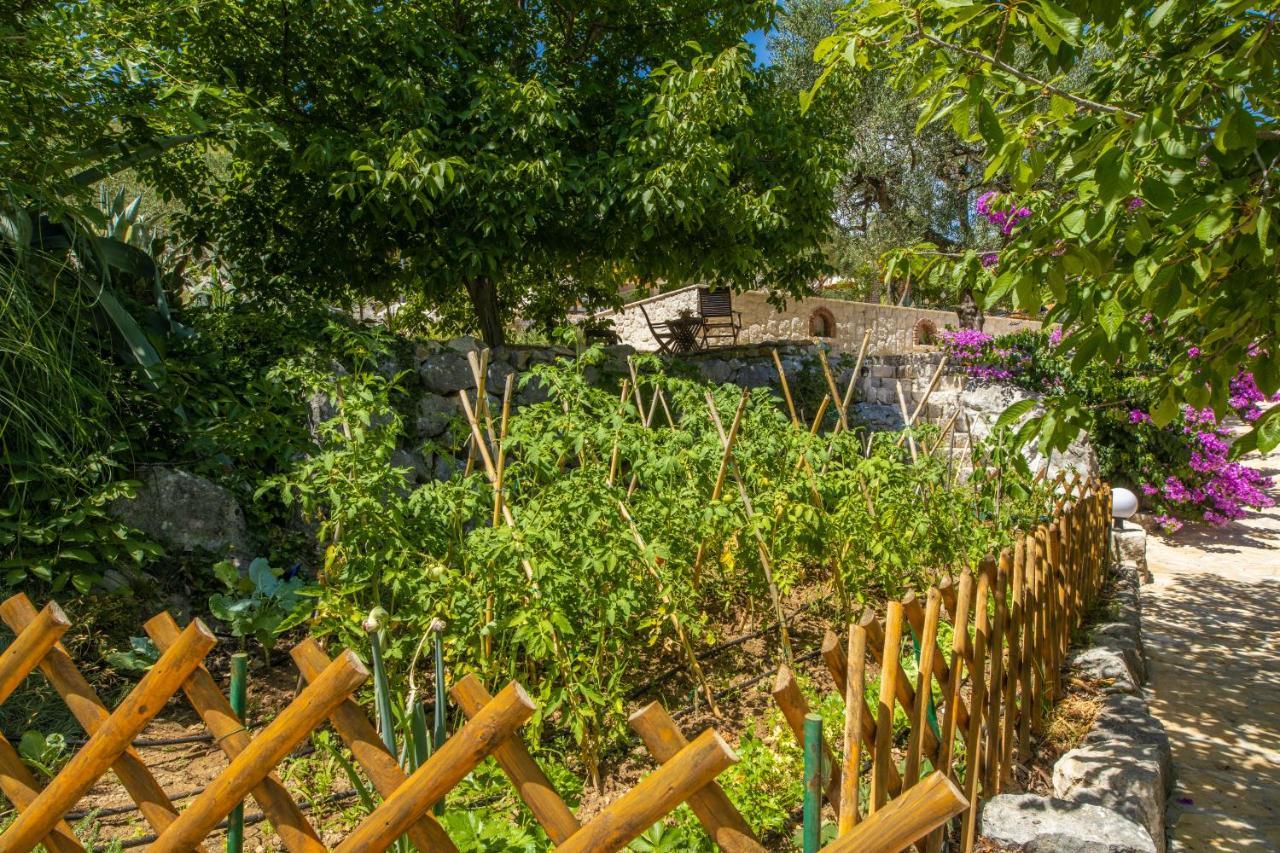 Villa Etno House Wagner Ploce  Exterior foto